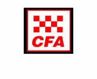 CFA logo (for website)
