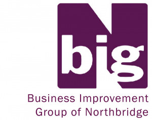 Big N logo
